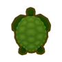 turtle.png