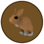 snippet_rabbit.png