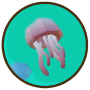 snippetafk_jellyfish.png