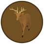 snippet_buck.png
