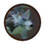 snippet_direwolf.png