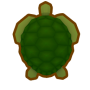 seaturtle.png